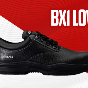 BX1 LOW